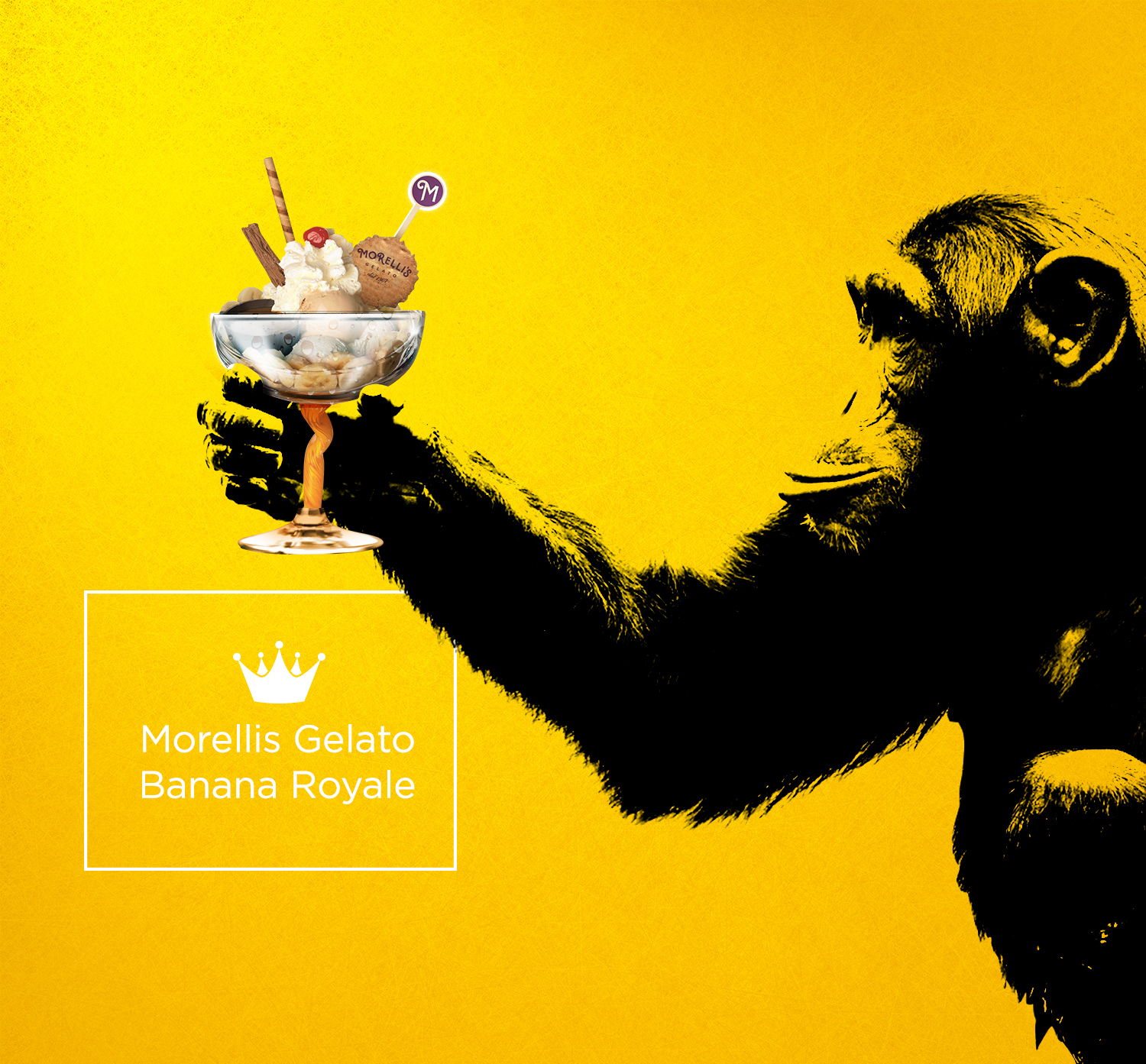 Yellow monkey