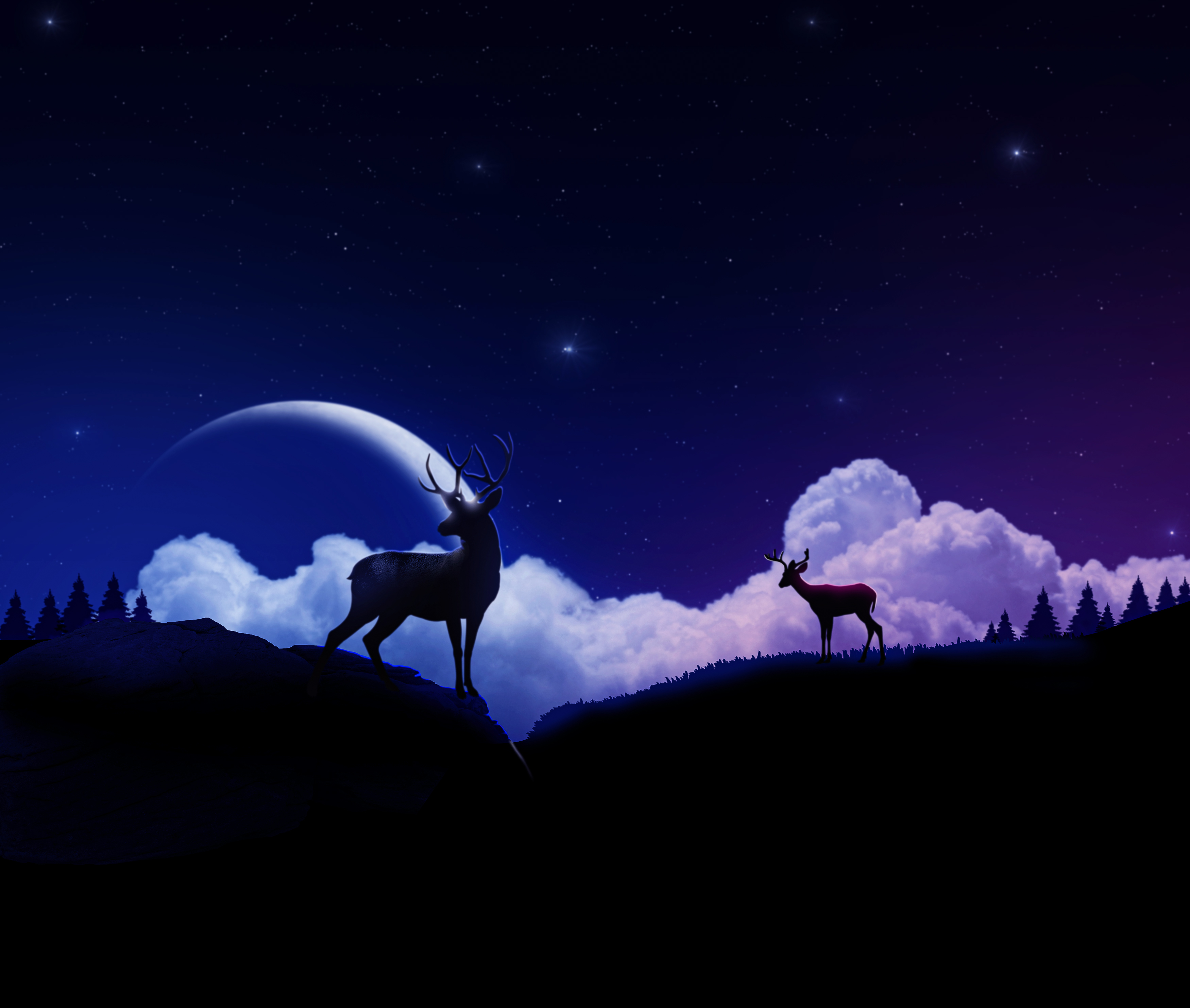 Christmas Poster Design